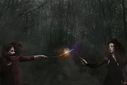 7th Feb 2017 - Hermione Granger vs Bellatrix Lestrange