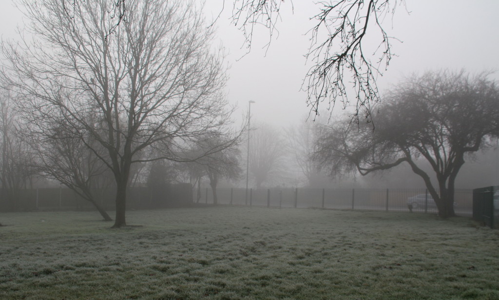 Misty and Frosty by oldjosh