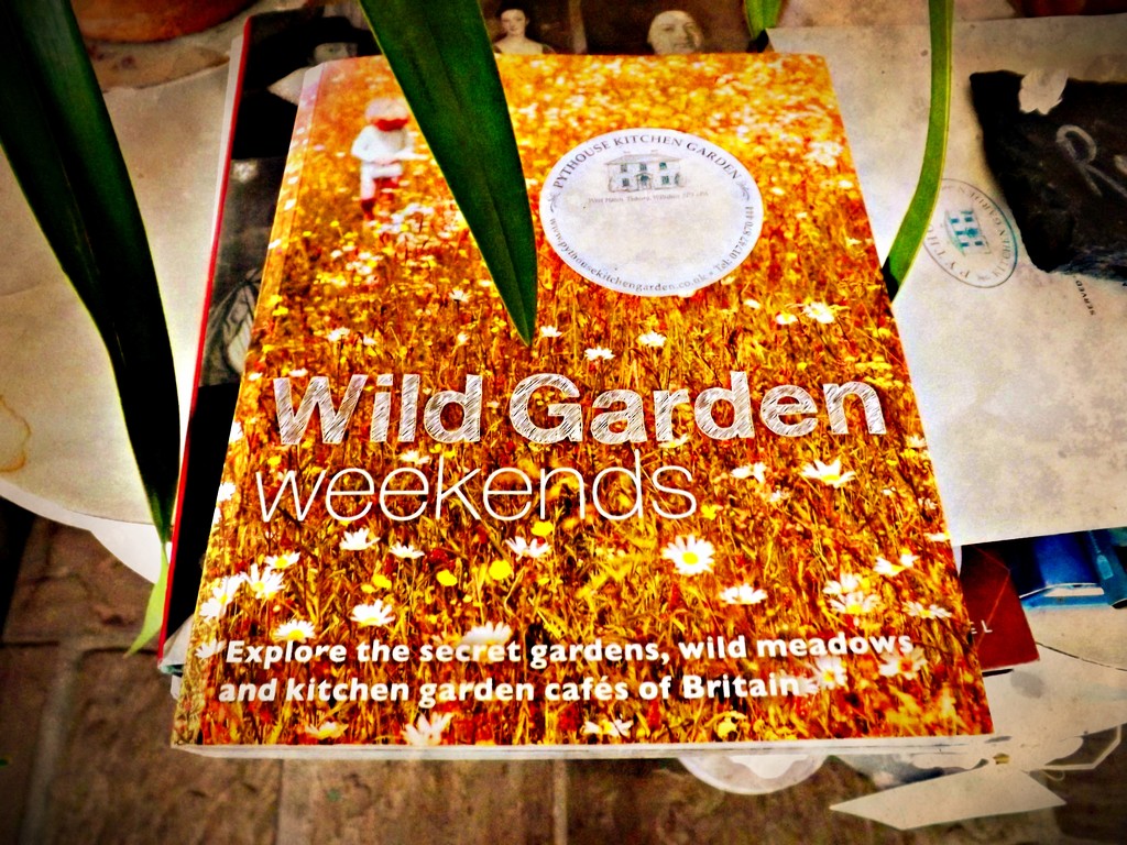 Wild Garden Weekends by ajisaac