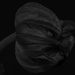 Tulip - On the Dark Side! by bizziebeeme