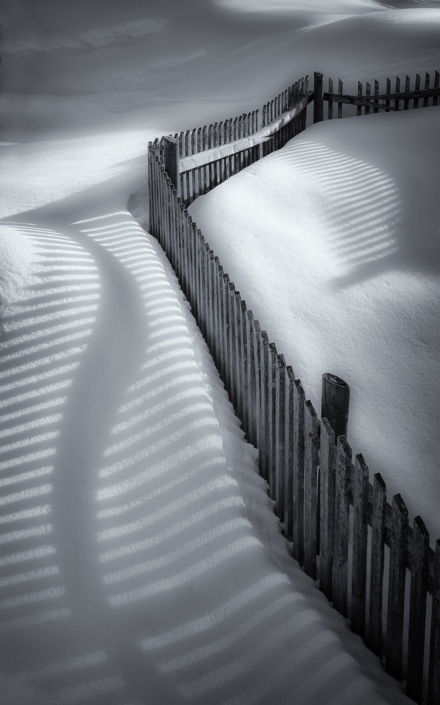 winter shadows by jerome
