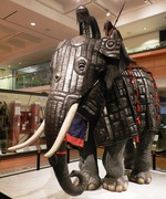 9th Feb 2017 - War Elephant Wearing Armour