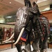 War Elephant Wearing Armour by fishers