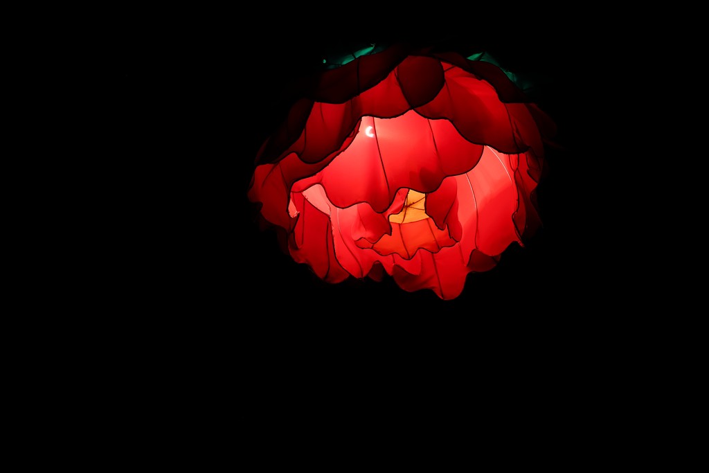 Chinese Lantern Festival by dkbarnett