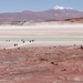 Chile 35  Atacama 3 by jqf