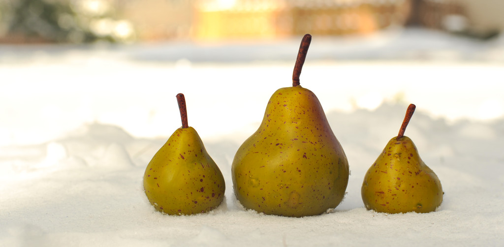 Snowy Pears by loweygrace