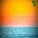 Florida Beach Wind Surfer by gardenfolk