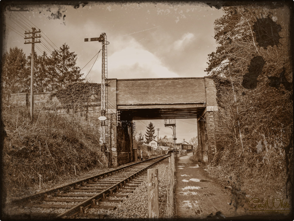 Brampton Halt (Brampton Valley Preserved Railway) by carolmw