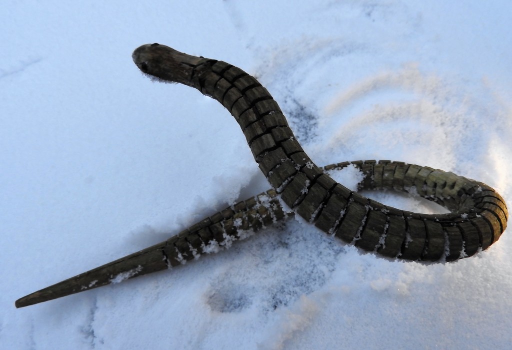DSCN3220"snake"in snow by marijbar