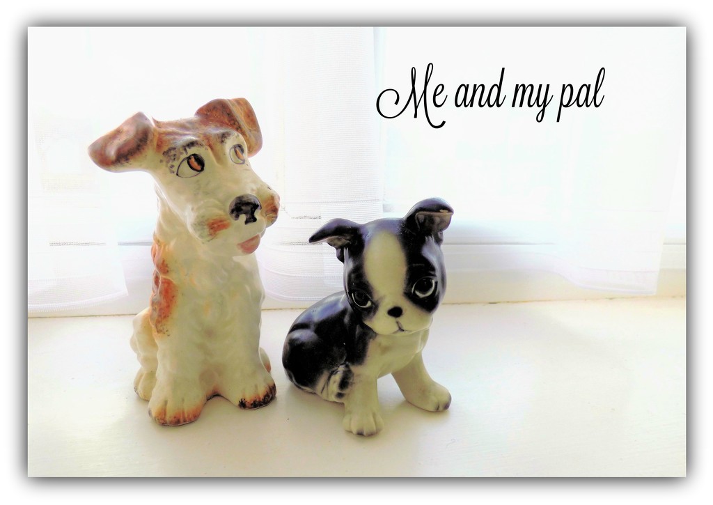 Me and my Pal  by beryl