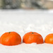 Snowy Oranges by loweygrace