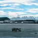 Denver International Airport by bruni