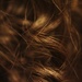 curl by fauxtography365