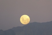 11th Feb 2017 - I see a full moon rising.....