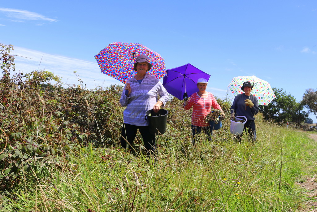 Blackberry picking brolly girls by gilbertwood