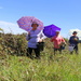 Blackberry picking brolly girls by gilbertwood