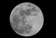 11th Feb 2017 - The moon is full