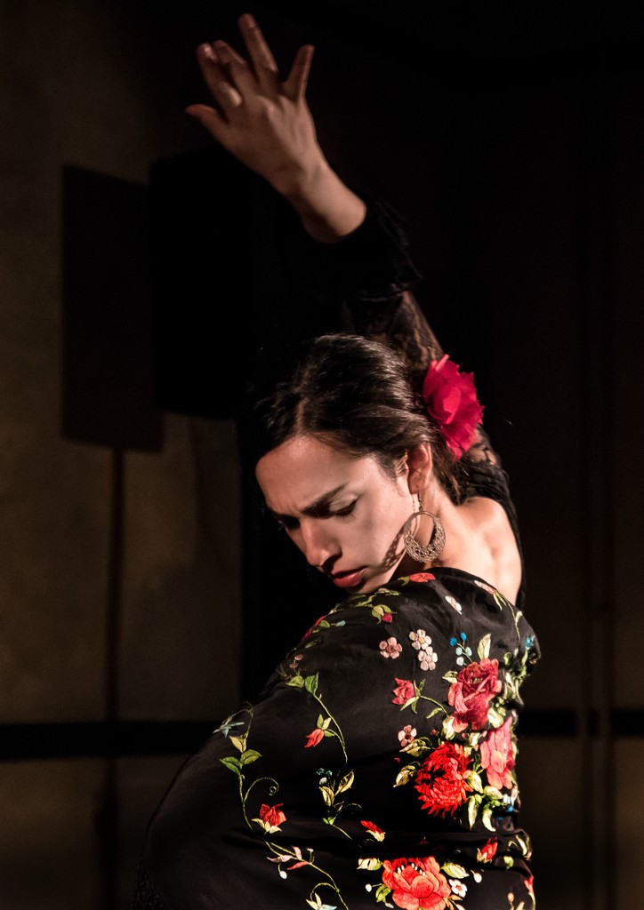 Flamenco Dancer by vignouse