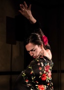 11th Feb 2017 - Flamenco Dancer