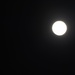 Moon Watch by kathyrose