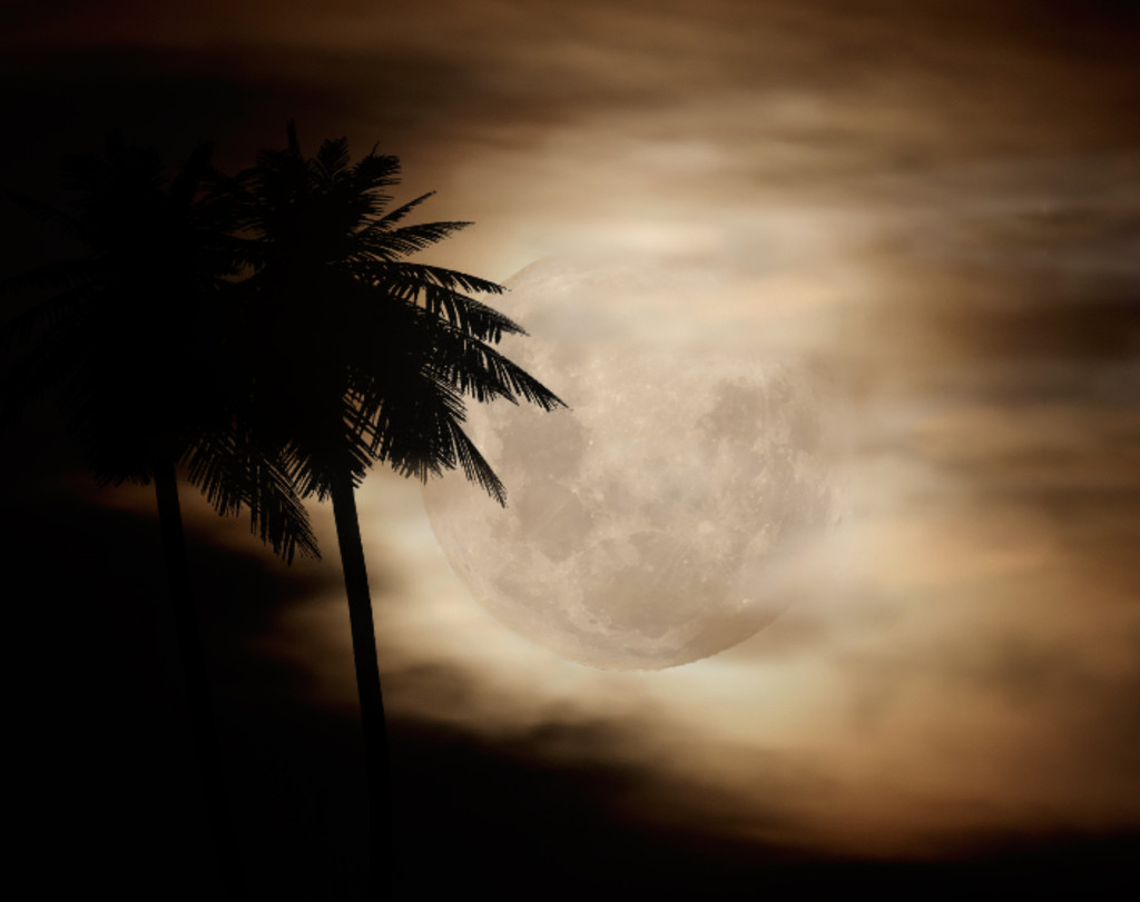 Fantasy moon by dkbarnett