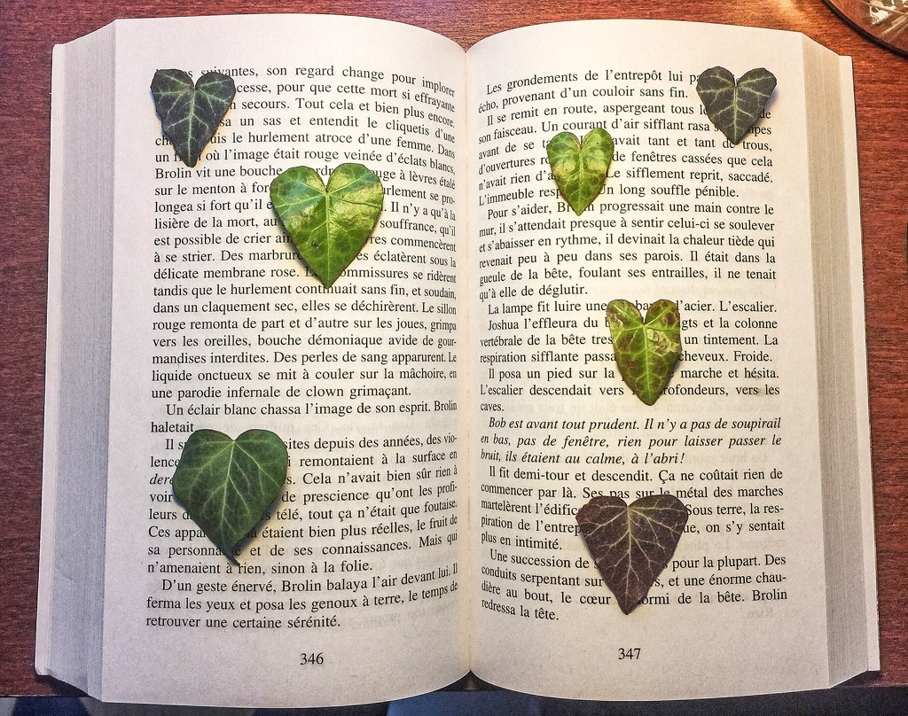 Do you read heart ? by cocobella
