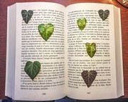12th Feb 2017 - Do you read heart ?
