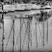 Mast reflections Ipswich Quay by judithdeacon