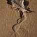 Sand Leaf by motherjane