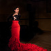 Flamenco Dancer 2 by vignouse