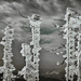 snow totems by jerome