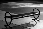 11th Feb 2017 - on the bench