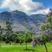 Stellenboschberg by ludwigsdiana