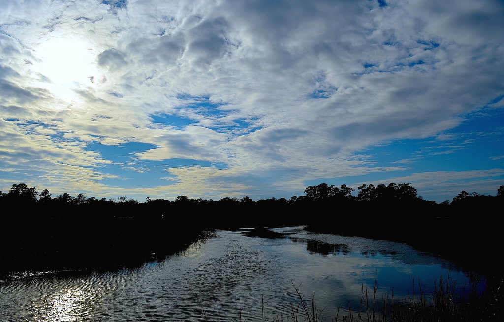 Sky, clouds and marsh on a late winter afternoon, Charleston, SC by congaree