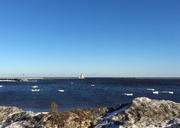 12th Feb 2017 - Lake Michigan floating ice