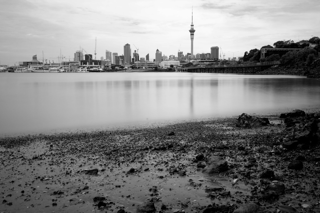 Auckland City by dkbarnett