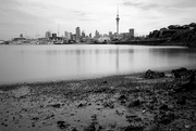 15th Feb 2017 - Auckland City