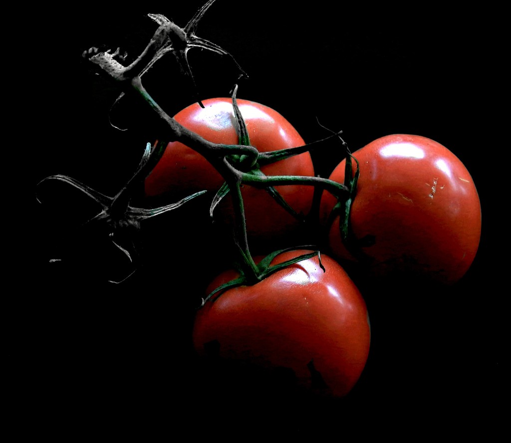Truss of Tomatoes  by kiwinanna