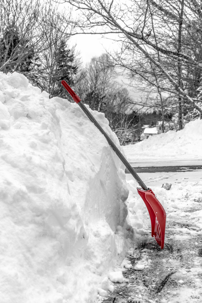 My shovel  by novab