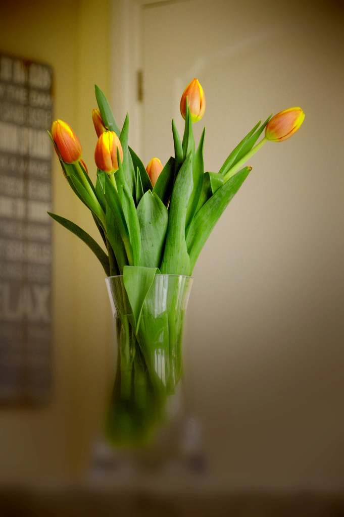 Retro look Tulips by jon_lip