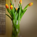 Retro look Tulips by jon_lip