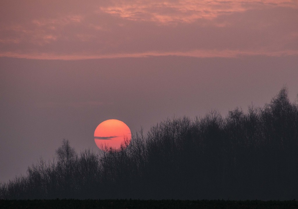 Subdued sunrise by shepherdman