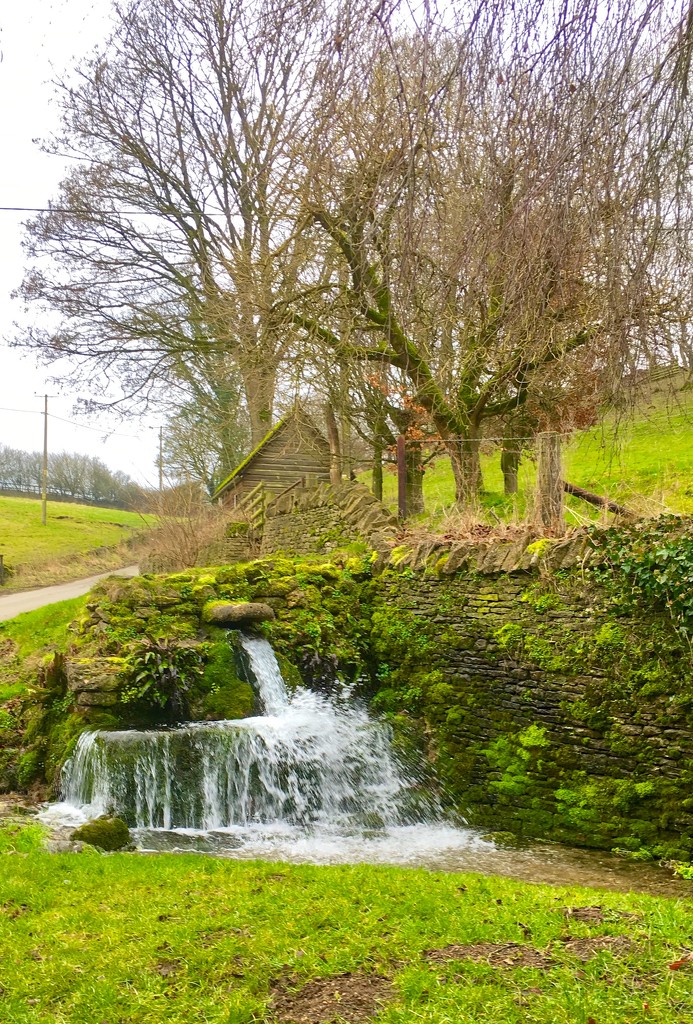 Cotswold spring by 365projectdrewpdavies