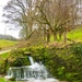 Cotswold spring by 365projectdrewpdavies