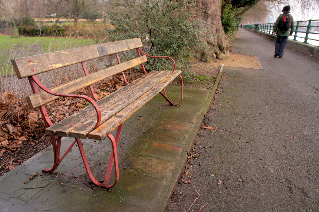 Bench in Bishops Park by boxplayer