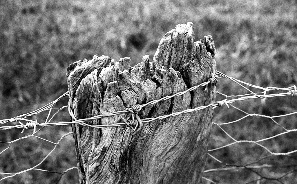 Old post and wire by peterdegraaff