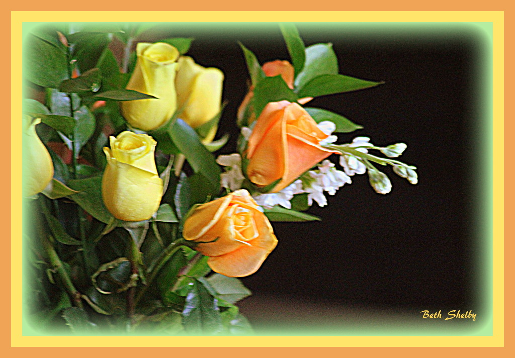 Yellow Roses by vernabeth