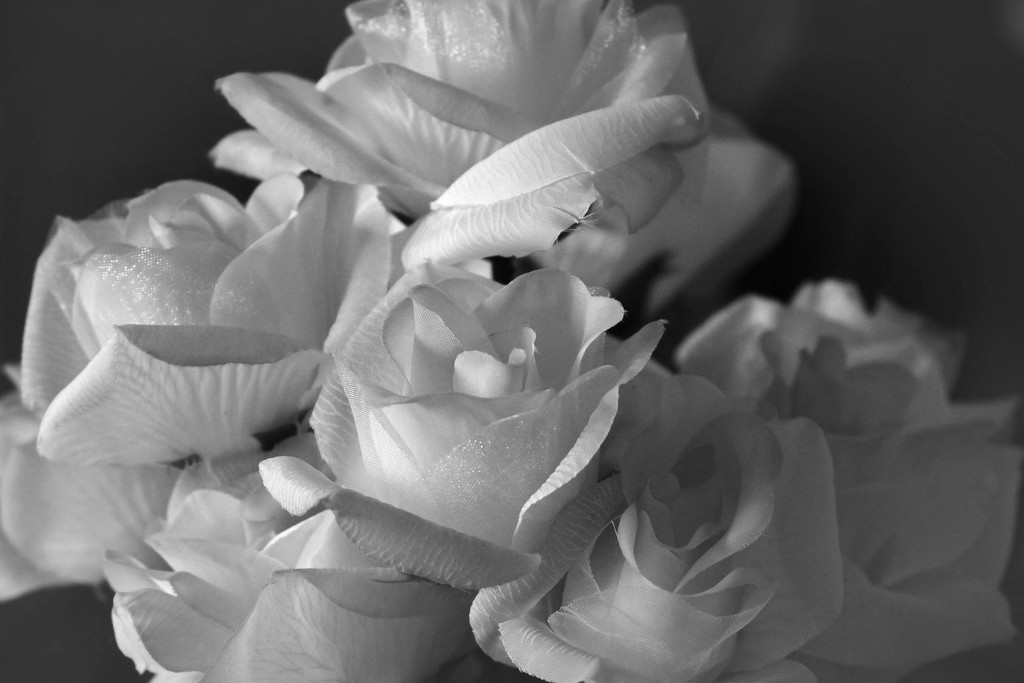 Artificial flowers in B&W by mittens