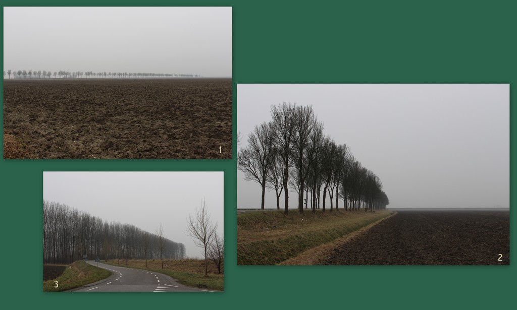 Road to Wolphaartsdijk by pyrrhula