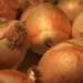 Monochrome (onions) by granagringa